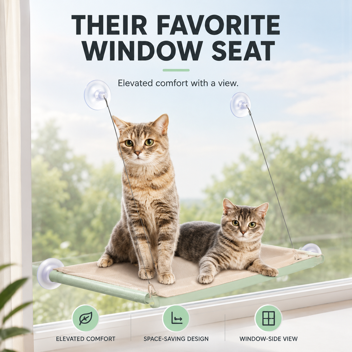 Cat Window Hammock with Climbing Frame