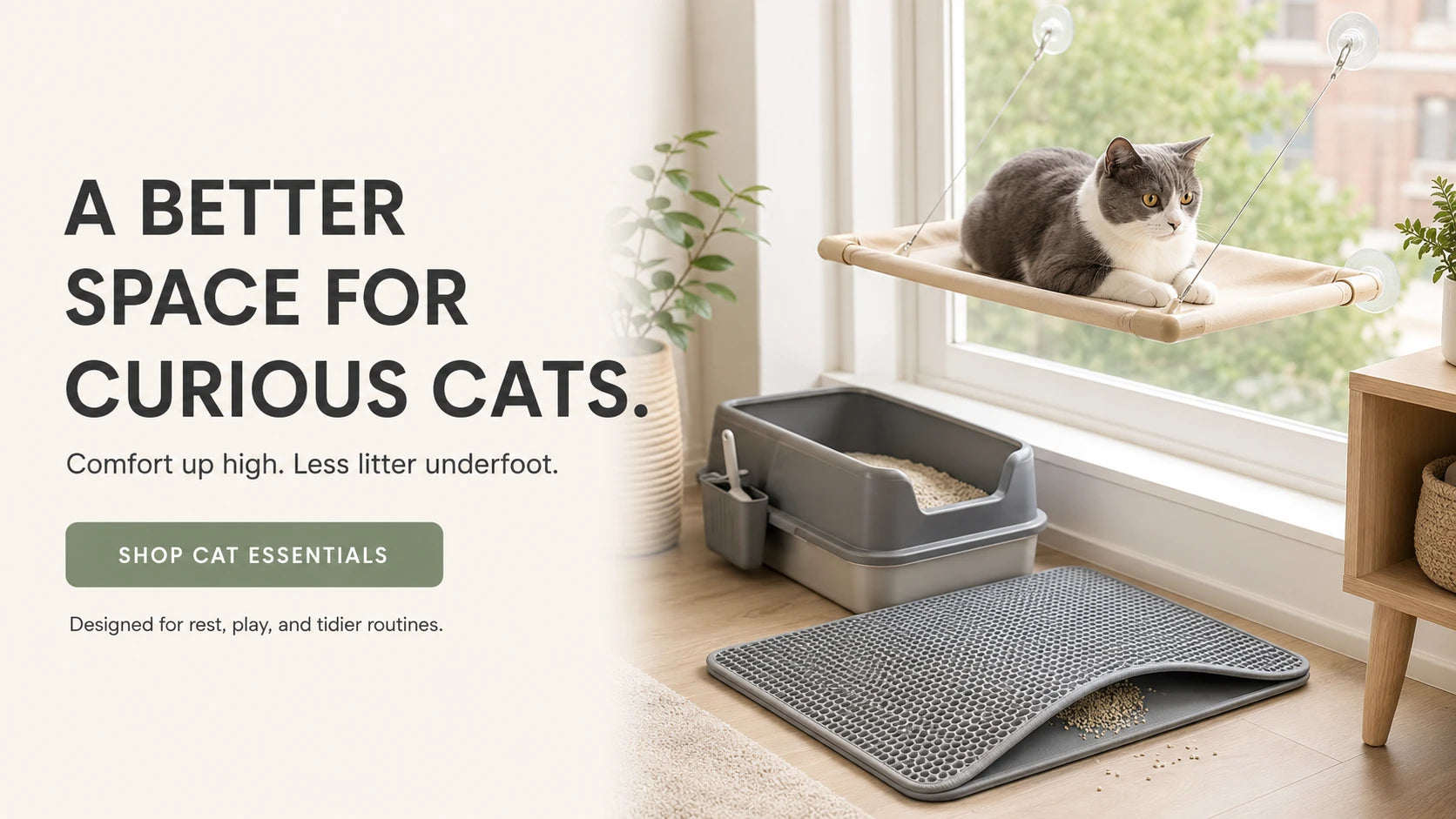 Shop Cat Essentials